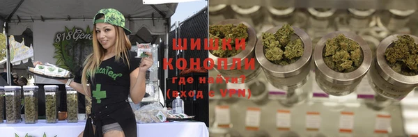 PSILOCYBIN Аркадак