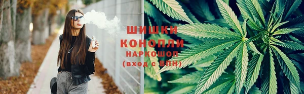 PSILOCYBIN Аркадак